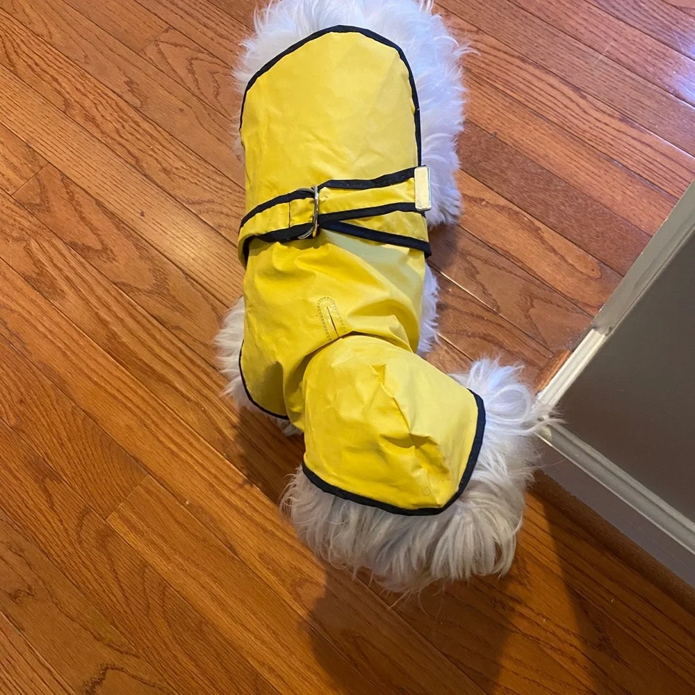 DOGGIDUDS Yellow Hooded Belted Rain Coat Slicker Navy Trim Dog XS / S 10